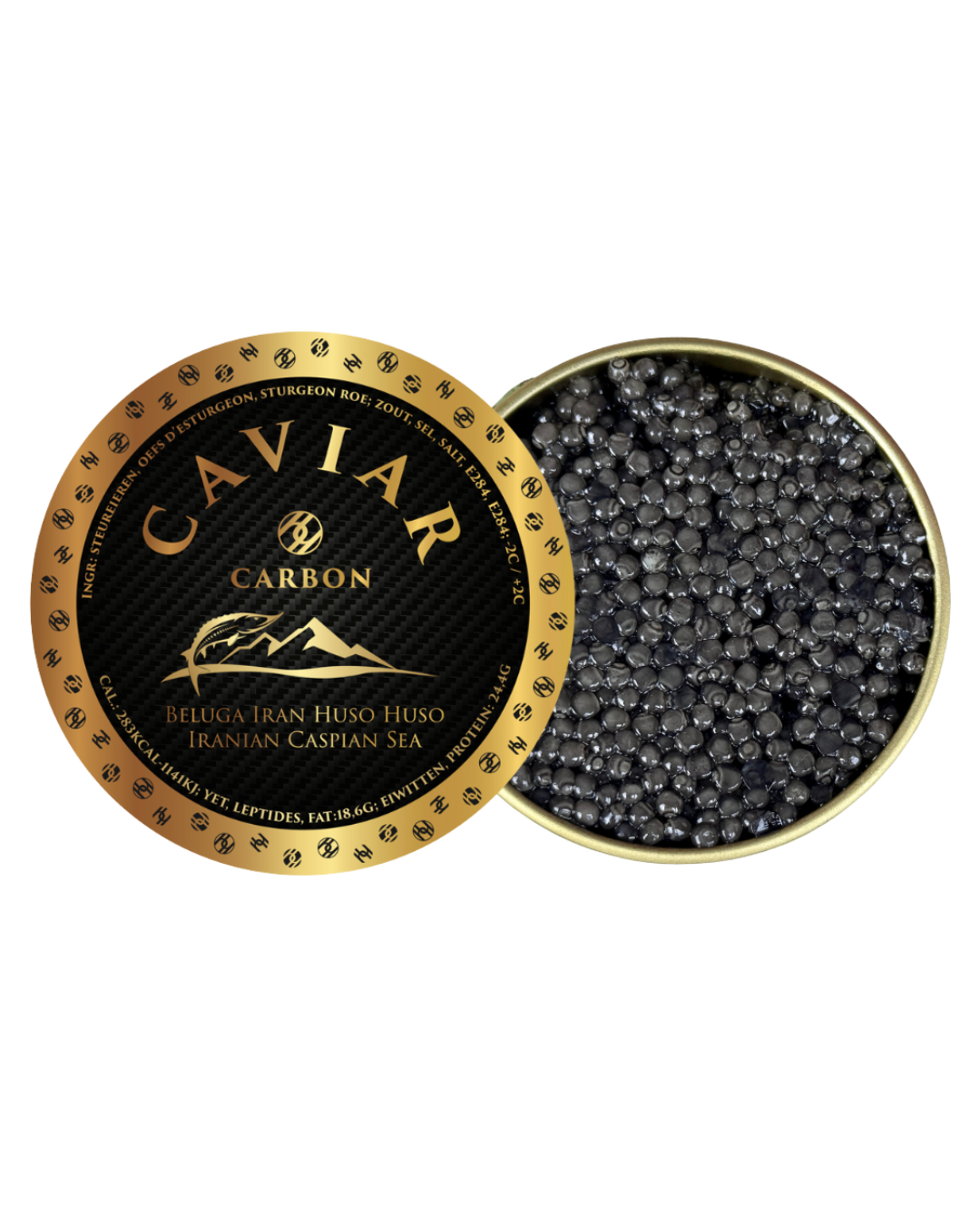 Beluga Huso Huso Caspian Sea