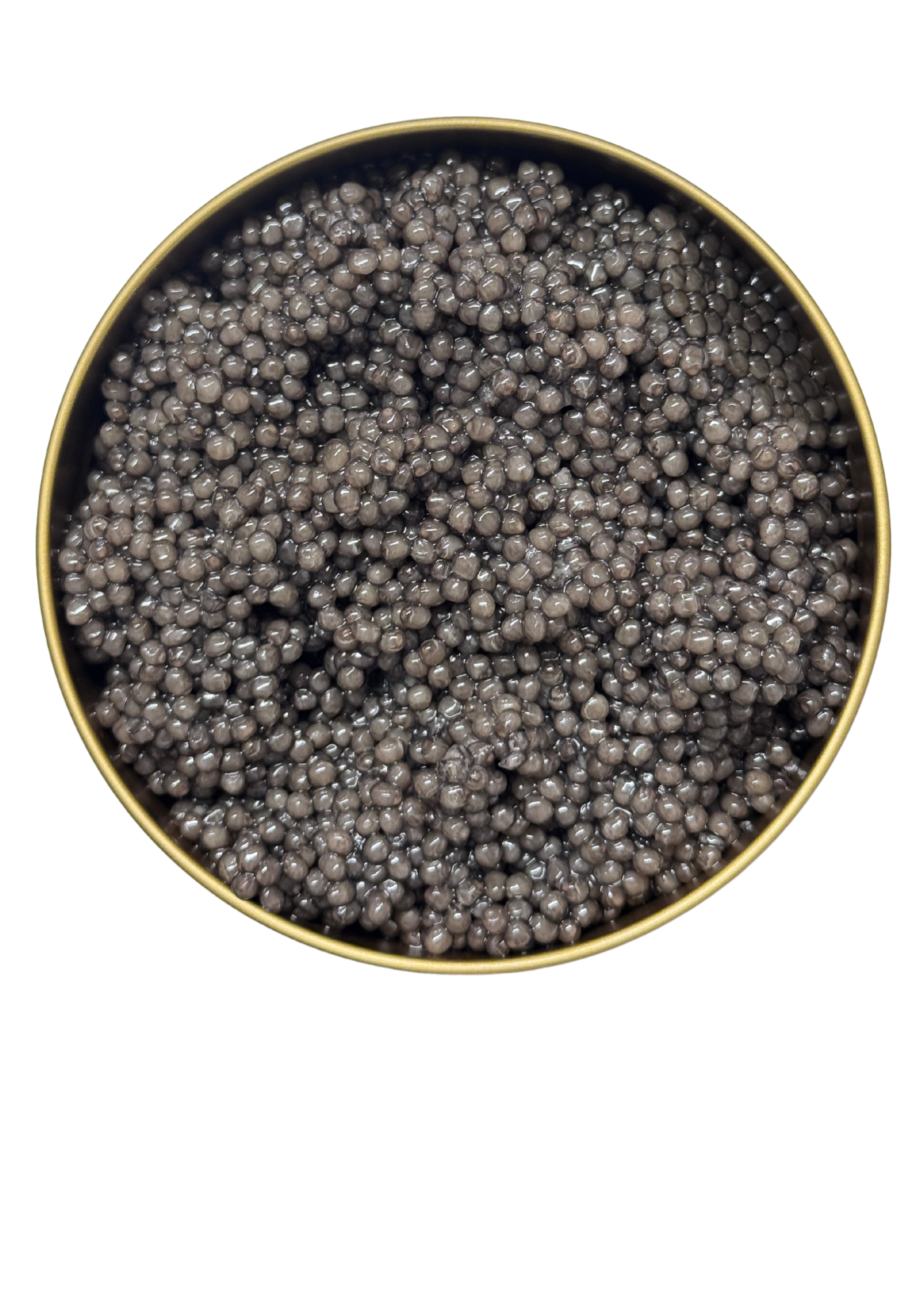 Beluga Huso Huso Caspian Sea